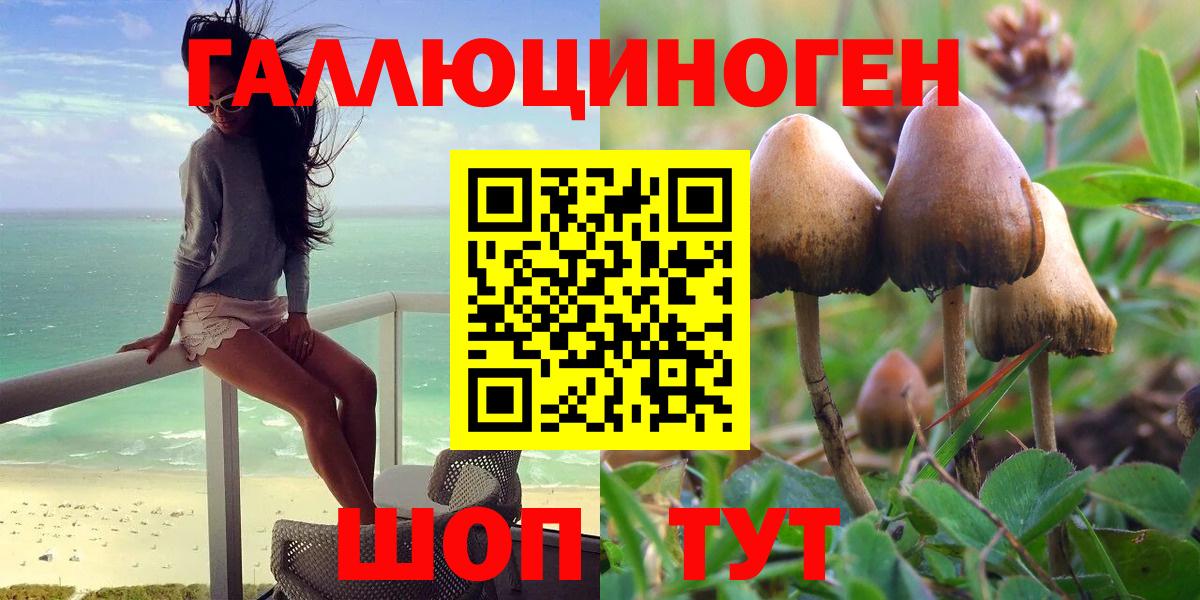 Псилоцибиновые грибы Psilocybe Трёхгорный