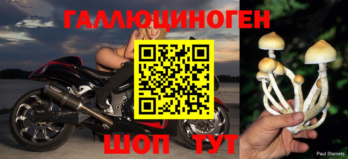 Трёхгорный  Псилоцибиновые грибы Magic Shrooms  Вход с VPN  Псилоцибиновые грибы GOLDEN TEACHER 